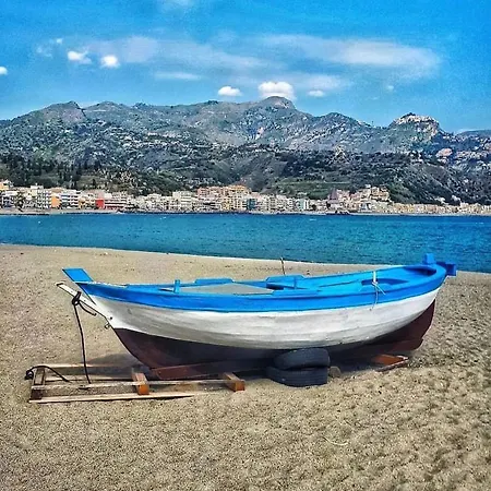 Le Conchiglie Di Venere-venus Daire