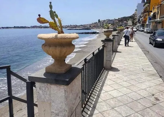 Le Conchiglie Di Venere-venus *